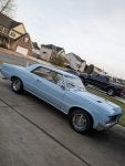 1964 Skyline blue GTO