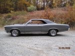 Wheel Tire Car Vehicle Hood